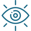 Icon vision2
